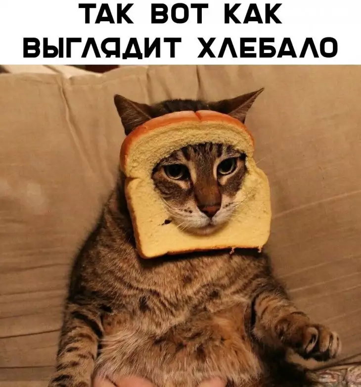 ТАК ВОТ КАК ВЬГАСАИТ ХАЕБААО