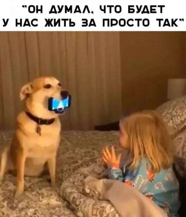 ОН ДУМА ЧТО БУДЕТ У НАС ЖИТЬ ЗА ПРОСТО ТАК