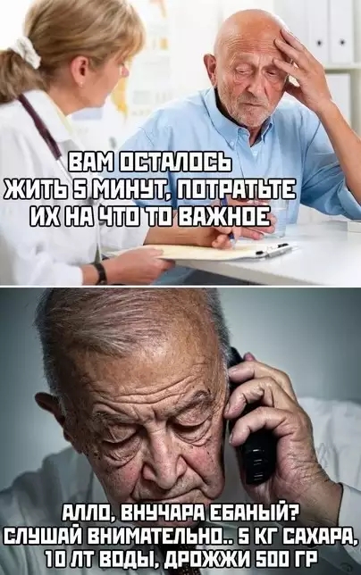 ш пт виды дппжжи апп г