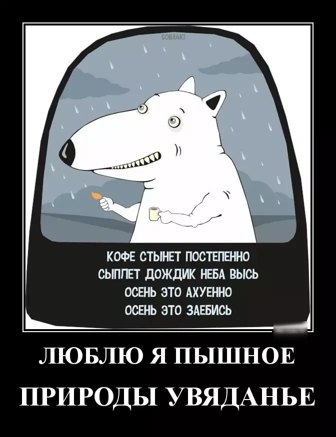 КОФЕ СТЫНЕТ ПОСТЕПЕННО СЫППЕТ дОЖДИК НЕВА ВЫСЬ ОСШЬ ЭТО АХУЕННО ОСЕНЬ ЭТО ЗАЕБИСЬ ЛЮБЛЮ Я ПЬ1ШНОЕ ПРИРОДЫ УВЯДАНЬЕ