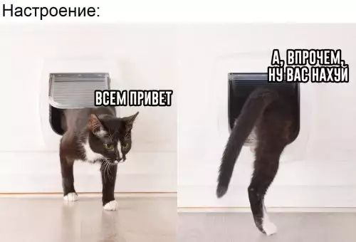 Настроение А впищщ вдв илхни
