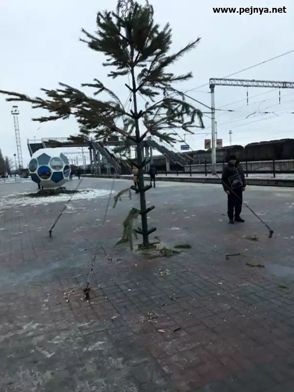 ре1пуа не