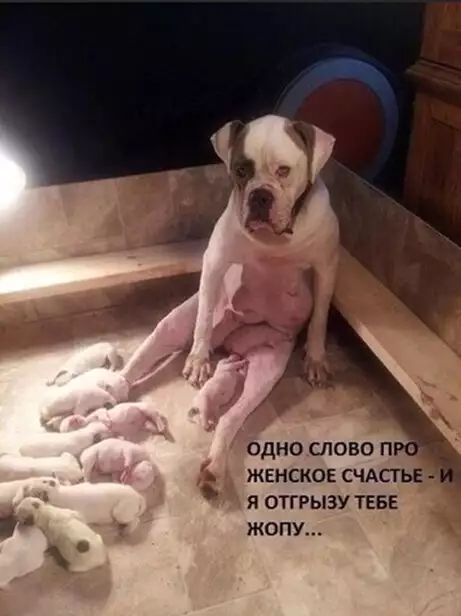 одно слово п женское счАсгьЕ я отгрыэу теве жопу
