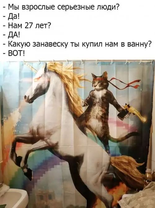 Мы взрослые серьезные люди Да Нам 27 лет _ ДА Какую занавеску ты купил нам в ванну ВОТ