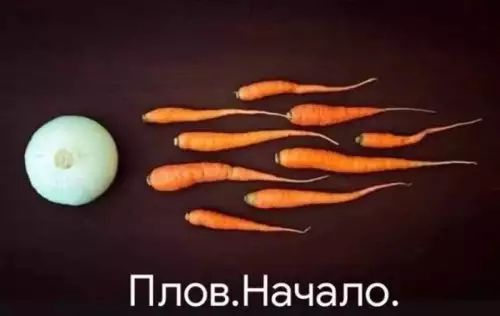 у снг __ _г ___ ПловНачапо