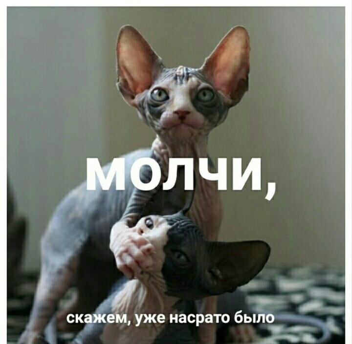 ъ и эфлчи скажем уже насрато было _