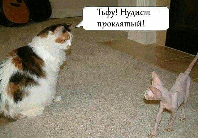 ТьфуГНудисгп прошитый