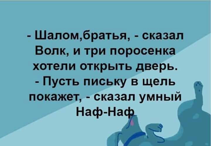 Шаломбратья сказал Волк и три поросенка хотели открыть дверь Пусть письку в щель покажет сказал умный Наф На