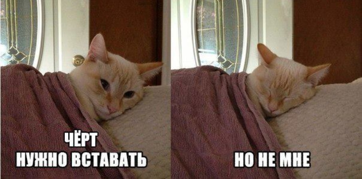 чЕП ШШШ ВВТАВПЬ