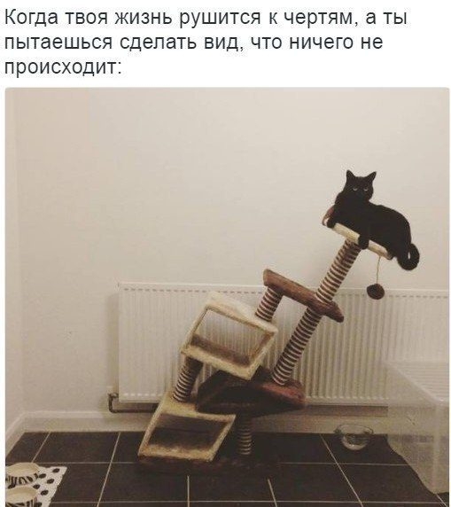 Когда ТВОЯ ЖИЗНЬ рУШИТСЯ К чертям а ТЫ ПЫТЗЭШЬСЯ сделать ВИД ЧТО ничего не ПРОИСХОДИТ