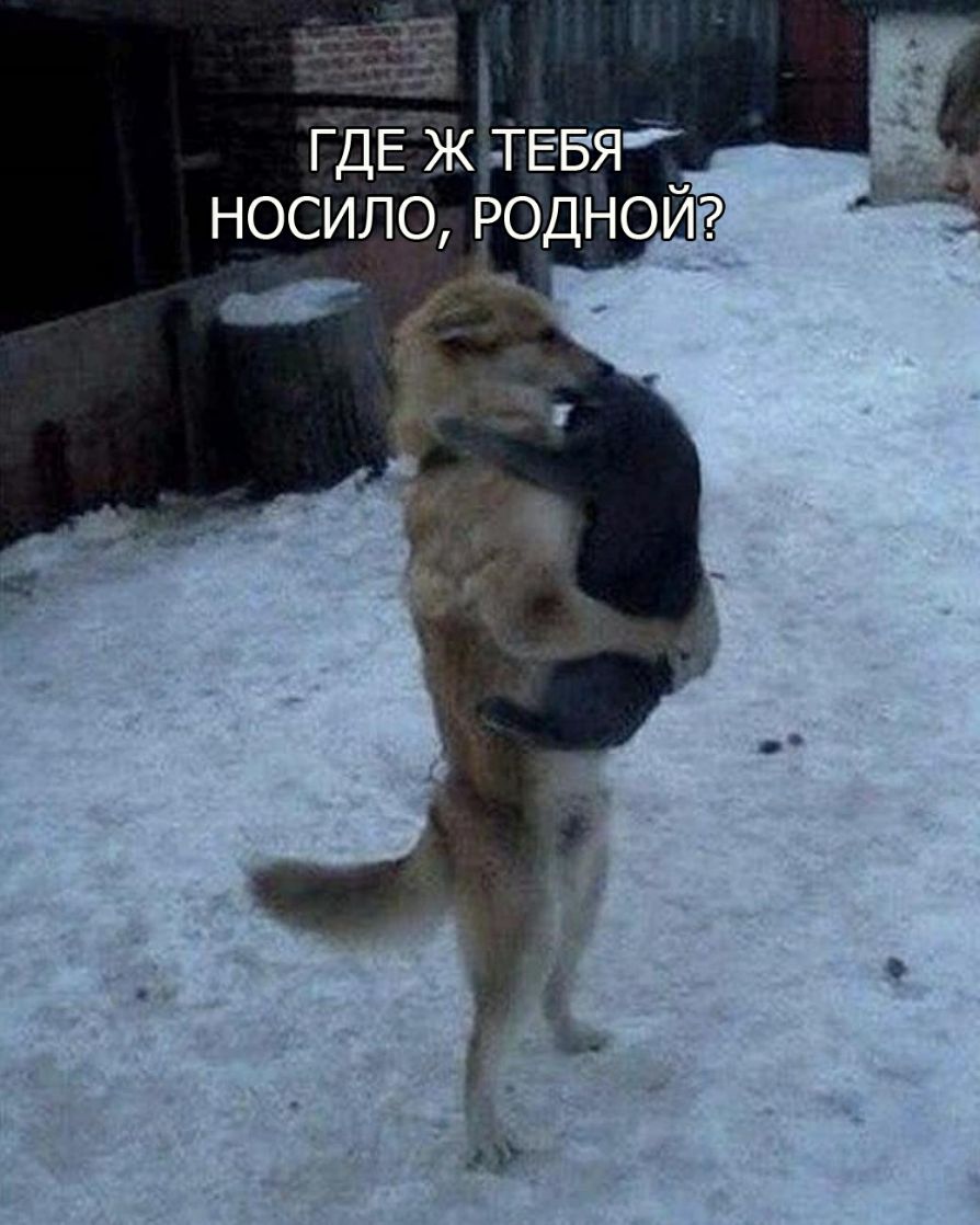 ГДЁЯ ЖЁГЕБЯ носило родъюй