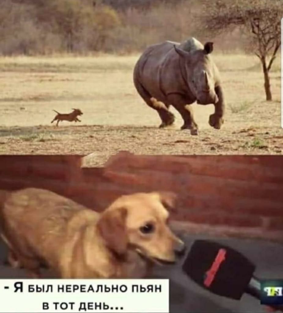Я выл НЕРЕАЛЬНО пьян в тот день