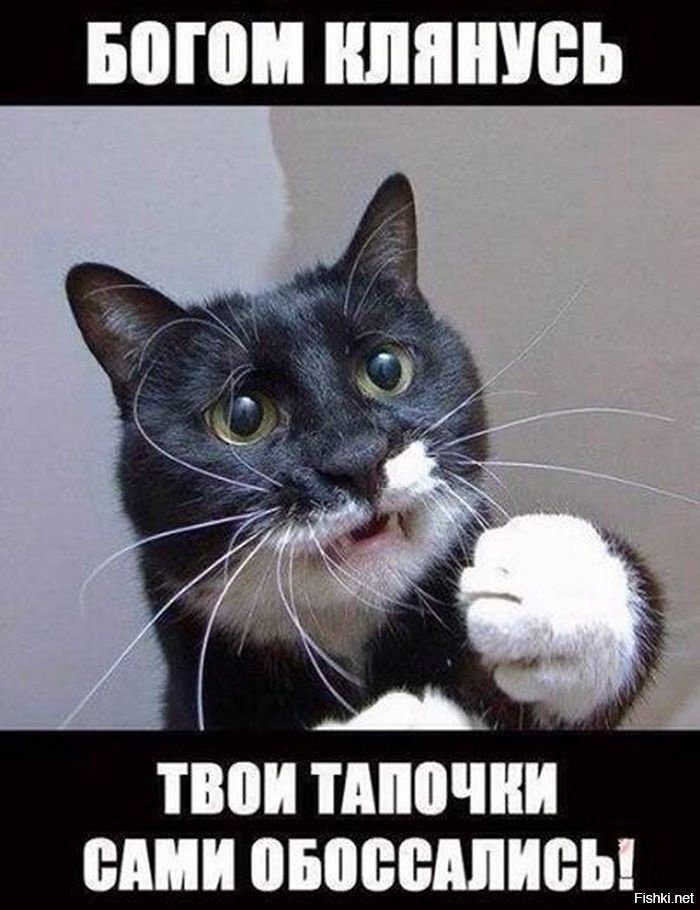вопил иппшюь твоитппочни шт овосеппиеы