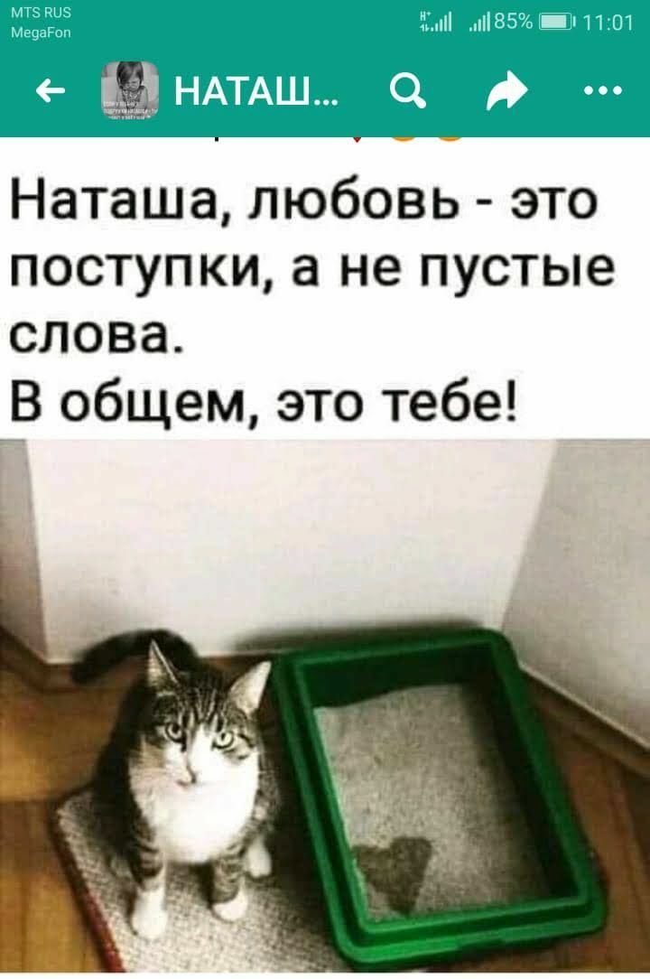 Наташа любовь это Поступки а не пустые слова В общем это тебе