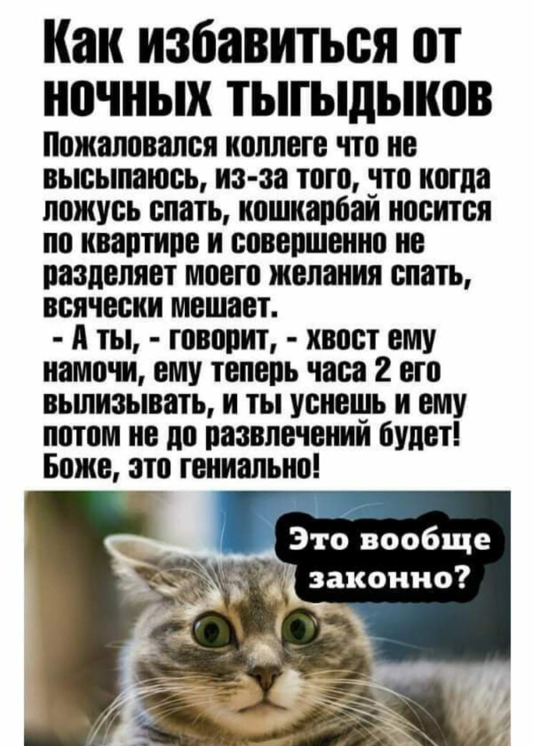 Как избавиться от ночных ТЫГЫдЫіШВ Пожаловапея коллеге что не высыпать из оа того по когда ложусь спеть иошиапоаи иоситоя по квартире и соееплеиио не разделяет моего желания спать всячески мешает А ты творит хвост ему помо и ему теперь часа 2 его оьшизывать и ты уснешь и ему потом не по развлечении будет Боже по геииапьио Это вообще