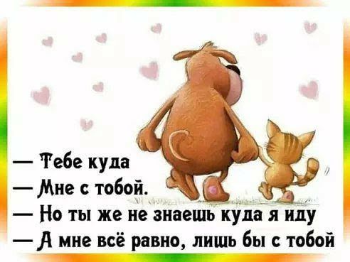 Тебе кула Мне с тобой Но ты же не знает купя иіу мне всё равно лишь бы с тобой _ _ _