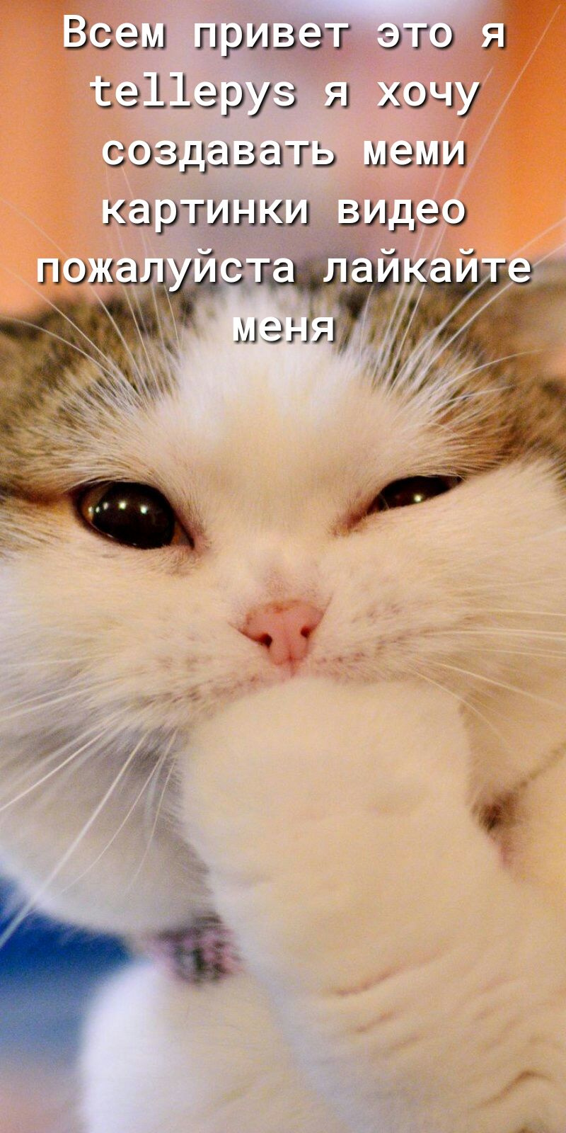 ш приёдэгэ ЧЧеруз Я хоу