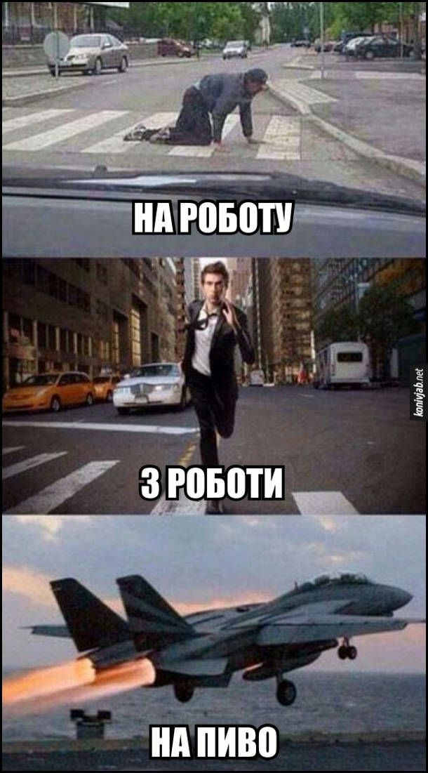 Анива