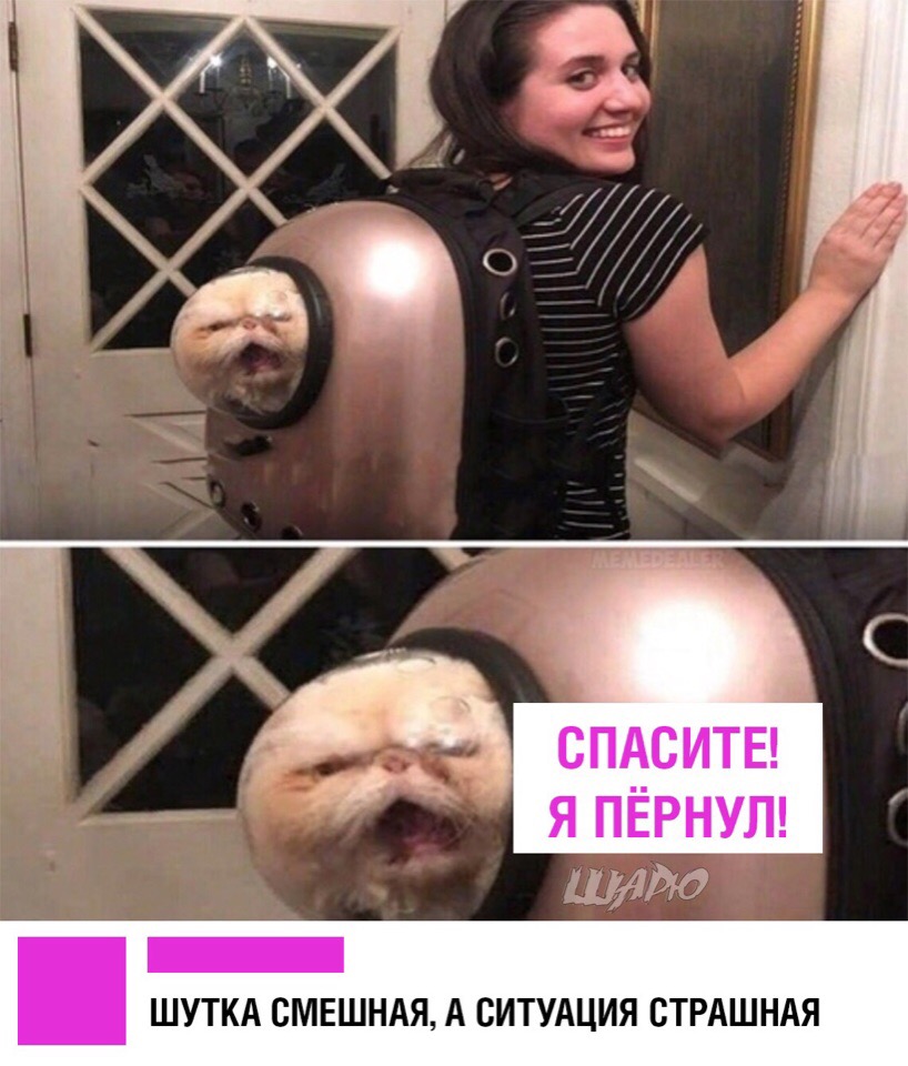 ШУТКА СМЕШНАЯ А СИТУАЦИЯ СТРАШНАЯ
