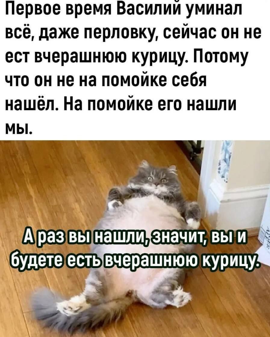 Первое время Василий уминап всё даже перповку сейчас он не ест вчерашнюю курицу Потому что он не на помойке себя нашёл На помойке его нашли МЫ