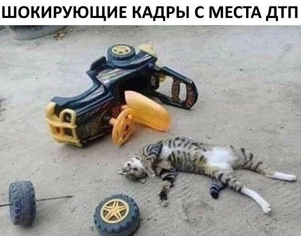 ШОКИРУЮЩИЕ КАДРЫ С МЕСТА ДТП Чидриитести