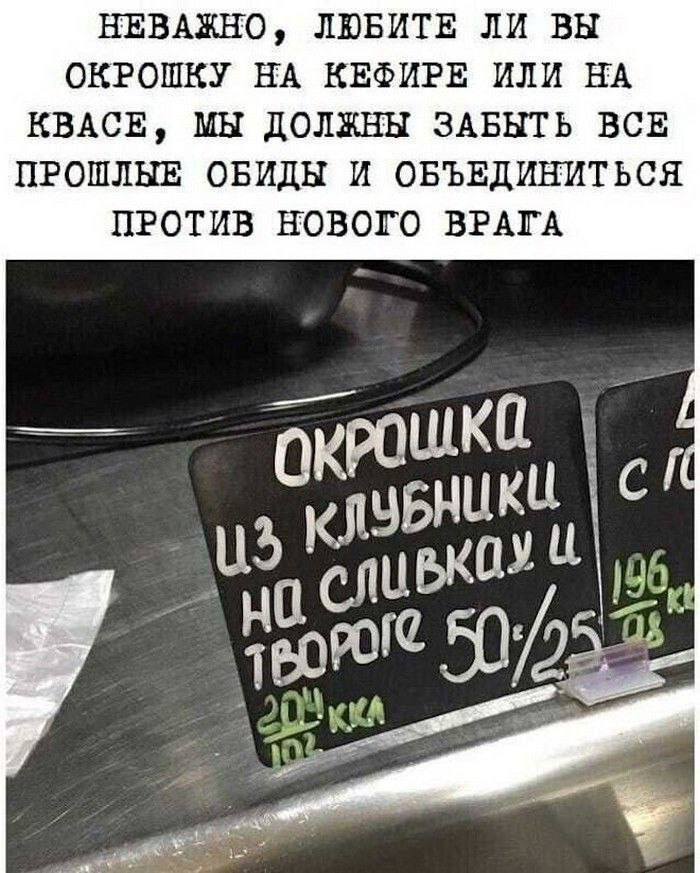 НЕВАЖНО ЛЮБИТЕ ЛИ ВЫ ОКРОШКУ НА КЕФИРЕ ИЛИ НА КВАСЕ МЫ ДОЛЖНЫ ЗАБЫТЬ ВСЕ ПРОШЛЫЕ ОБИДЫ И ОБЪЕДИНИТЬСЯ ПРОТИВ НОВОГО ВРАГА