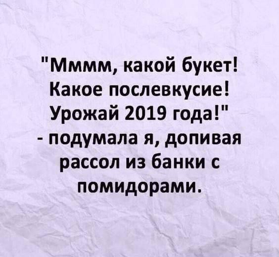 Мммм какой букет Какое послевкусие Урожай 2019 года подумала я допивая рассол из банки с помидорами