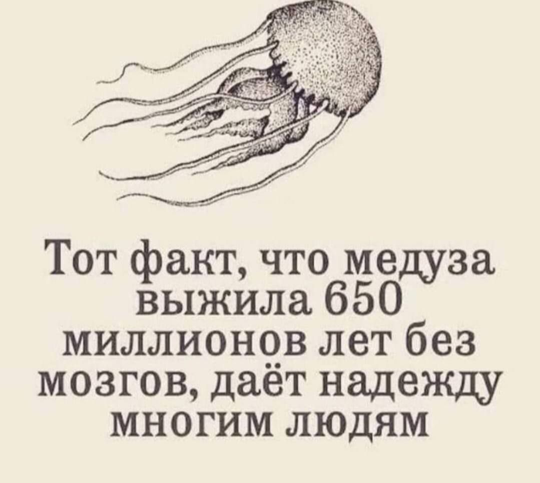 Тот факт что медуза выжила 650 миллионов лет без мозгов даёт надежду МНОоГИМ ЛЮДЯМ