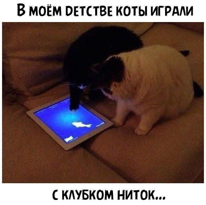 В моЁМ РЕТСТВЕ КОТЫ ИГРАЛИ С КЛУБКОМ НИТОК