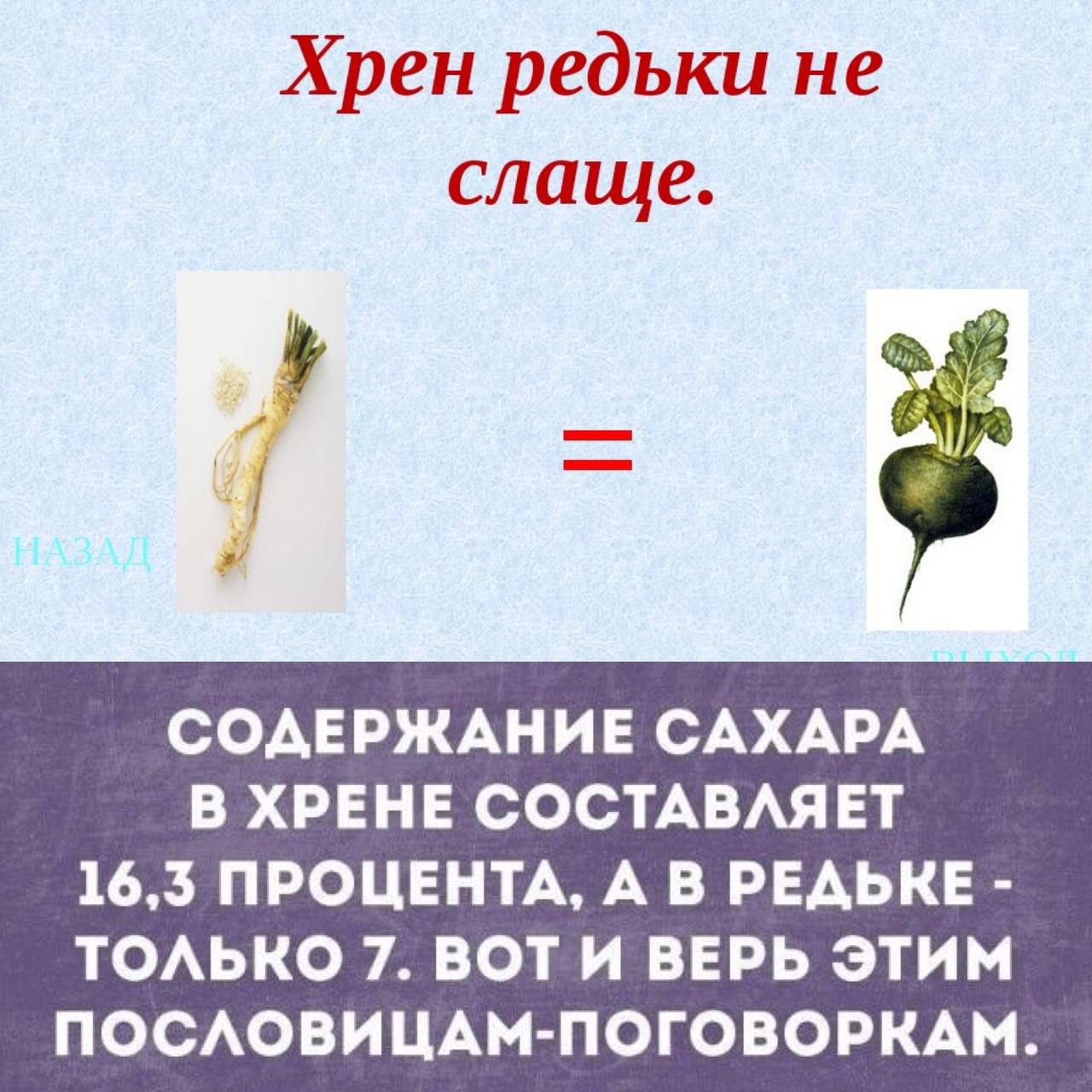 СОДЕРЖАНИЕ САХАРА В ХРЕНЕ СОСТАВЛЯЕТ 16 ПРОЦЕНТА А В РЕДЬКЕ ТОЛЬКО 7 ВОТ И ВЕРЬ ЭТИМ ПОСЛОВИЦАМ ПОГОВОРКАМ