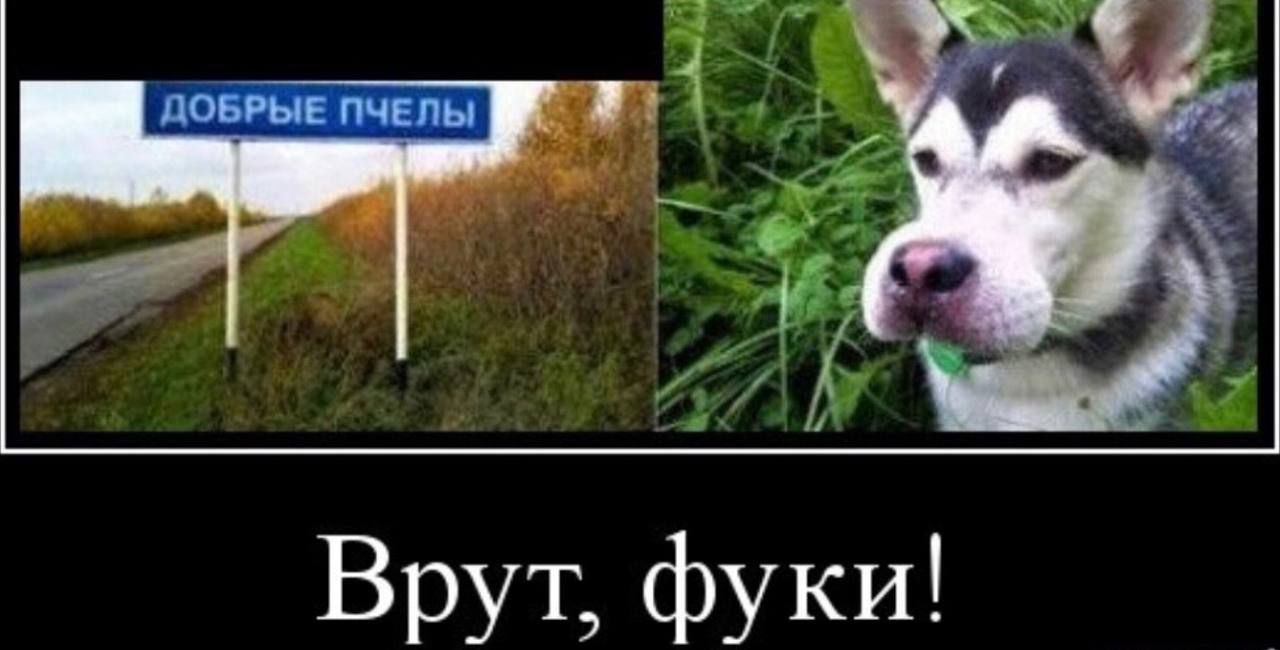 Добрые пчелы
Врут, фуки!