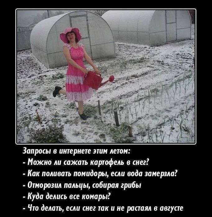 Запросы в интернете этим летом:
- Можно ли сажать картофель в снег?
- Как поливать помидоры, если вода замерзла?
- Отморозила пальцы, собирая грибы
- Куда делись все комары?
- Что делать, если снег так и не растаял в августе?