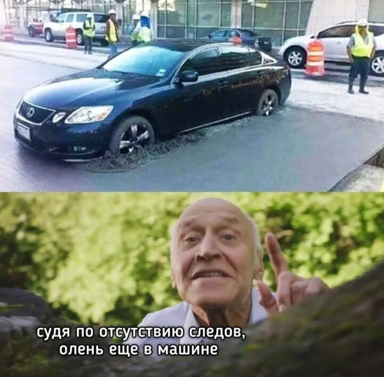 судя по отсутствию следов, олень еще в машине