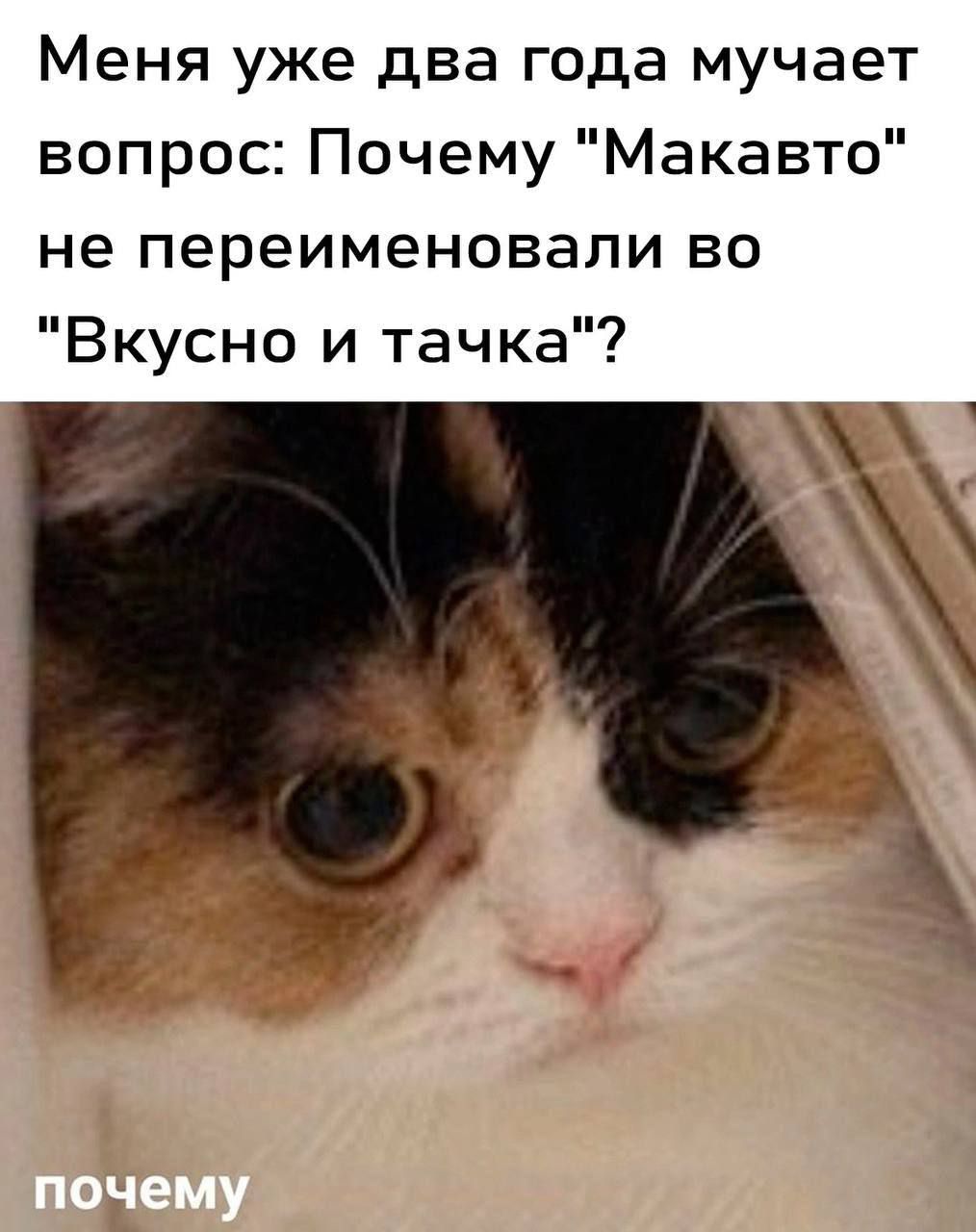 Меня уже два года мучает вопрос: Почему 