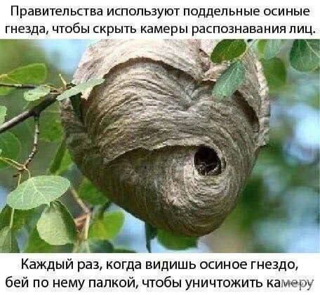 Правительства используют поддельные осиные гнезда, чтобы скрыть камеры распознавания лиц.
Каждый раз, когда видишь осиное gнездо, бей по нему палкой, чтобы уничтожить камеру.