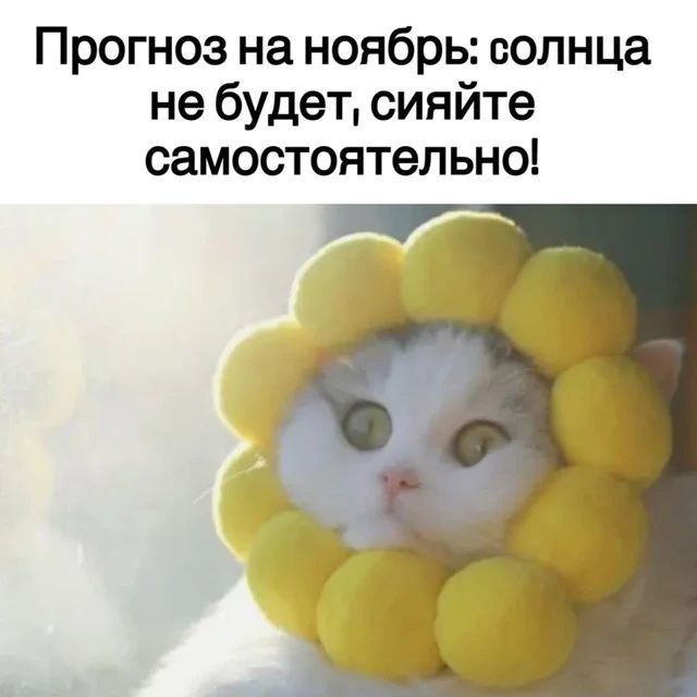 Прогноз на ноябрь: солнца не будет, сияйте самостоятельно!