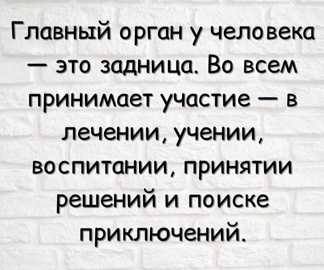 Главный орган у человека — это задница. Во всем принимает участие — в лечении, учении, воспитании, принятии решений и поиске приключений.