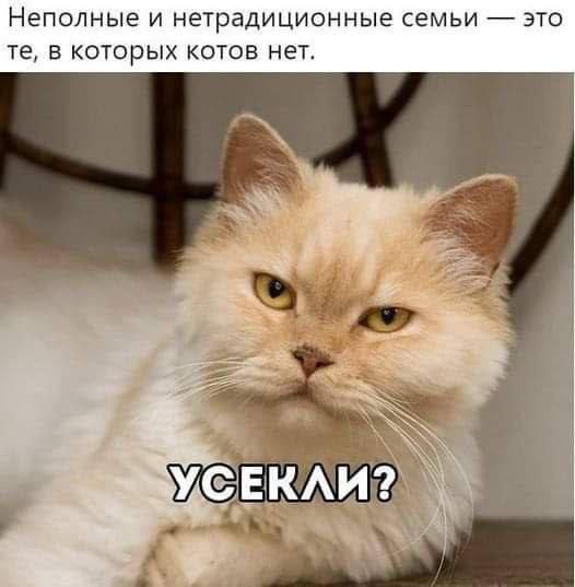 Неполные и нетрадиционные семьи — это те, в которых котов нет.
УСЕКЛИ?