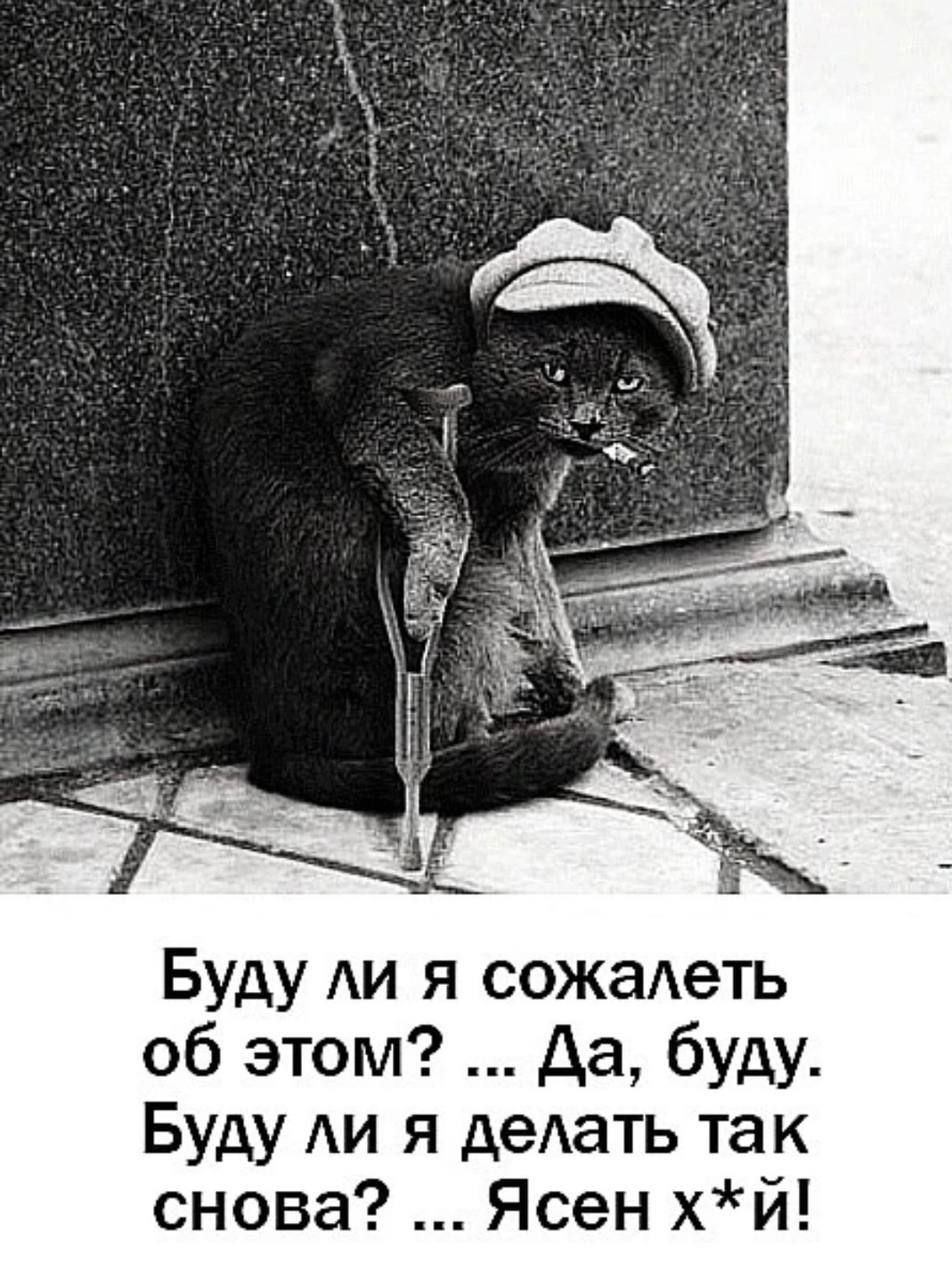 Буду ли я сожалеть об этом? ... Да, буду. Буду ли я делать так снова? ... Ясен х*й!