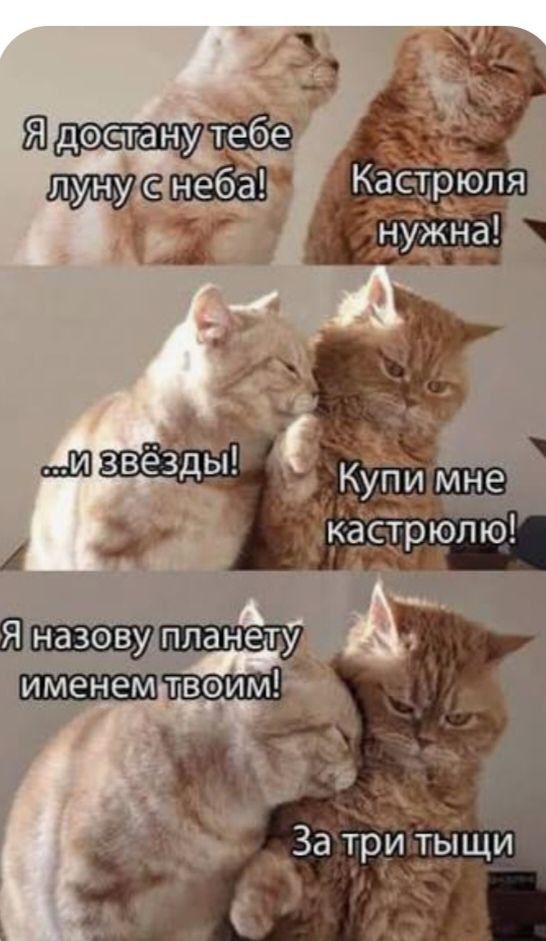 Я достану тебе луну с неба!\nКастрюля нужна!\n...и звёзды!\nКупи мне кастрюлю!\nЯ назову планету именем твоим!\nЗа три тыщи