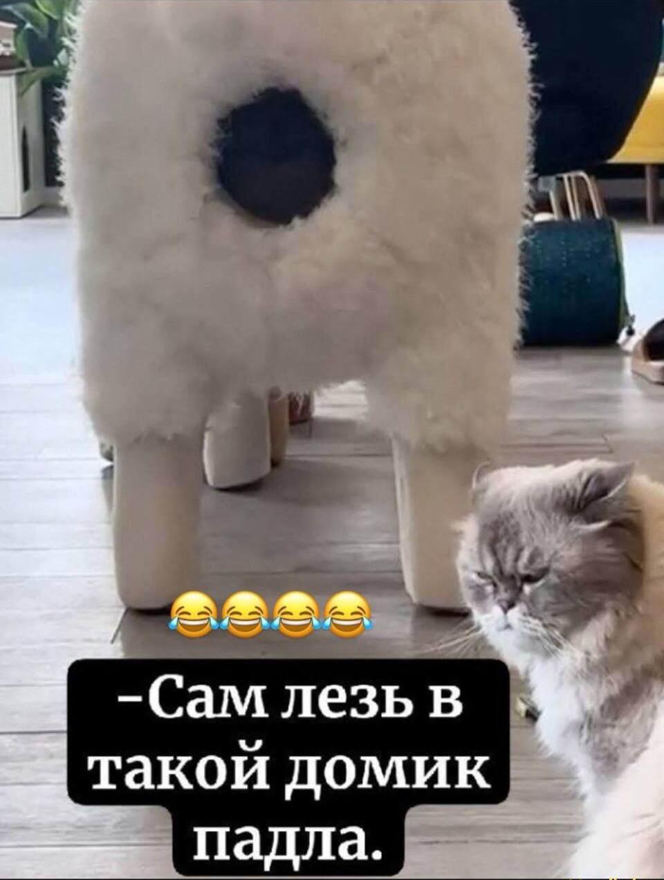 😂😂😂😂😂
-Сам лезь в такой домик падла.