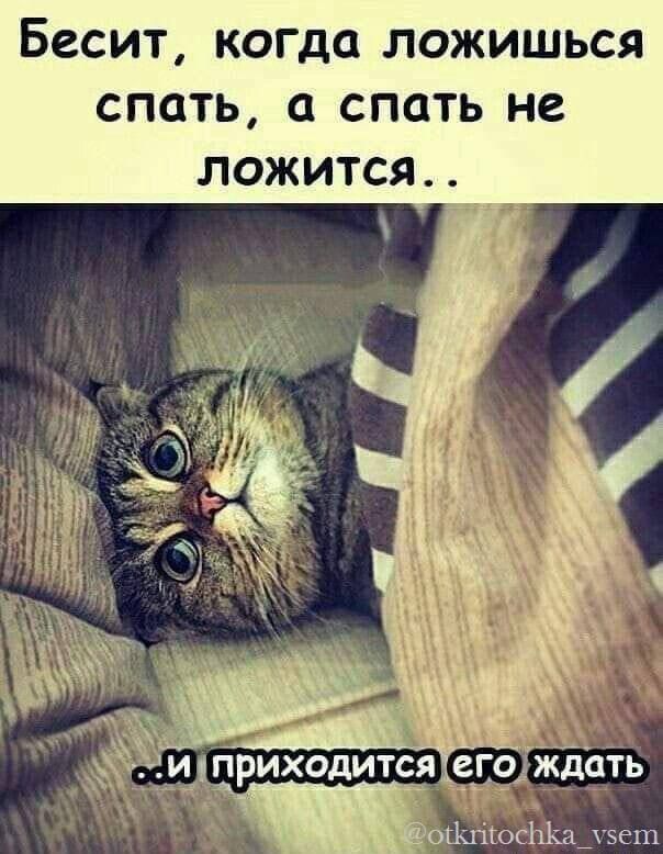 Бесит, когда ложишься спать, а спать не ложится.. ..и приходится его ждать