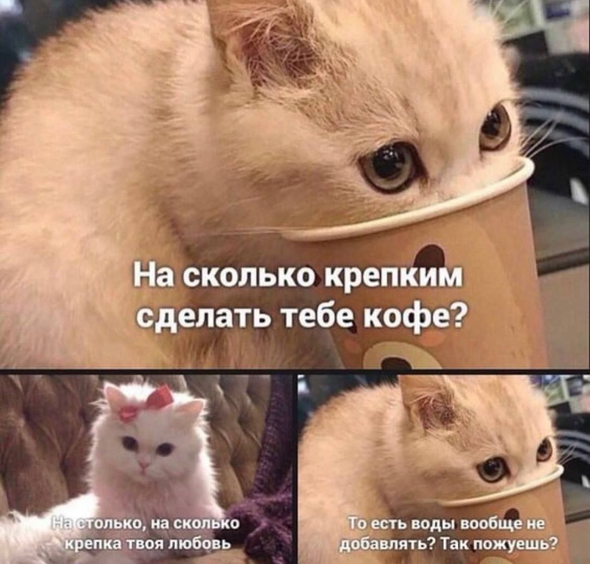 На сколько крепким сделать тебе кофе? На столько, на сколько крепка твоя любовь. То есть воды вообще не добавлять? Так пойму?