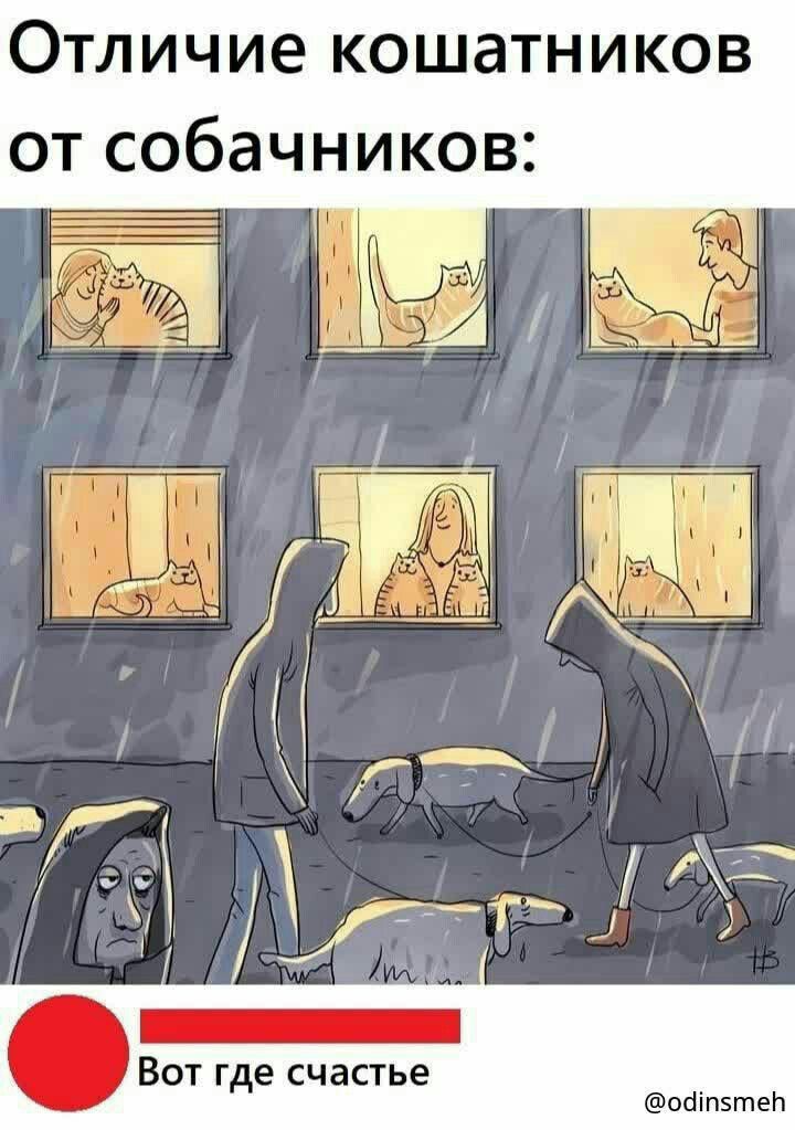 Отличие кошатников от собачников:\nВот где счастье