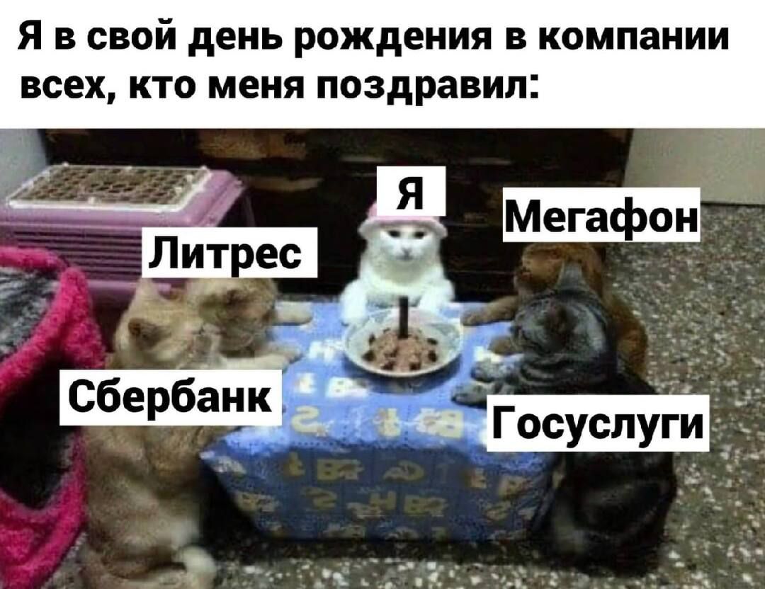 Я в свой день рождения в компании всех, кто меня поздравил:
Я Литрес Мегафон
Сбербанк Госуслуги