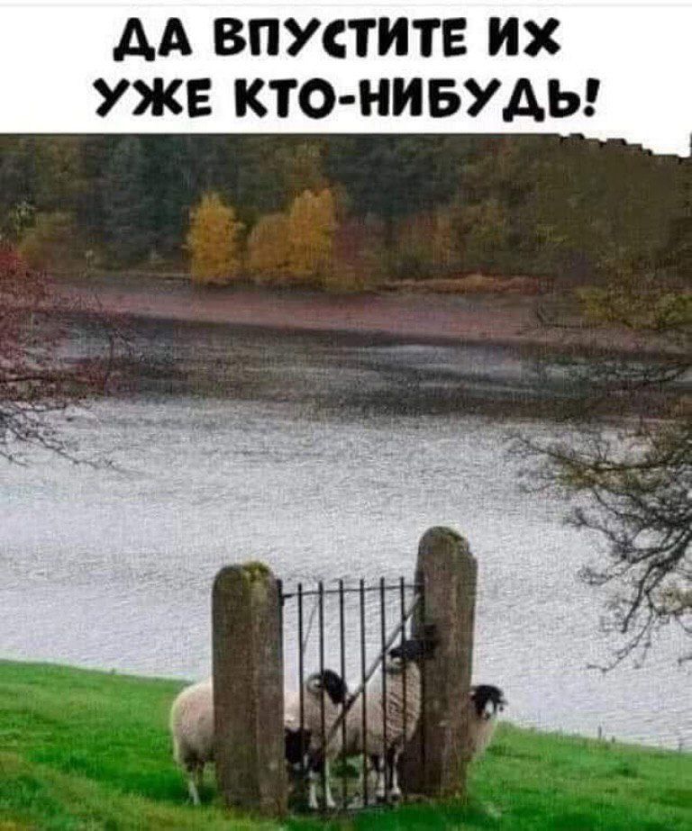 ДА ВПУСТИТЕ ИХ УЖЕ КТО-НИБУДЬ!