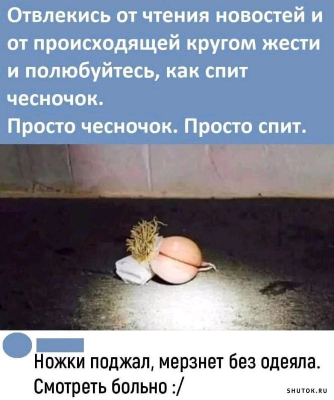 Отвлекитесь от чтения новостей и от происходящей кругом жести и полюбуйтесь, как спит чесночок. Просто чесночок. Просто спит.

Ножки поджал, мерзнет без одеяла. Смотреть больно :/