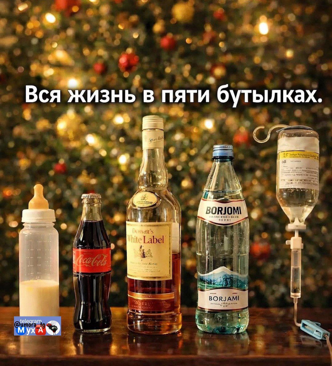 Вся жизнь в пять бутылках.