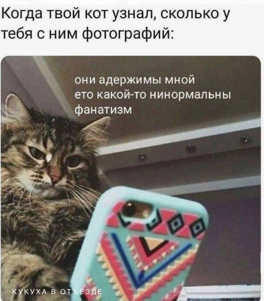 они адержимы мной это какой-то никонORMAL фанатизм