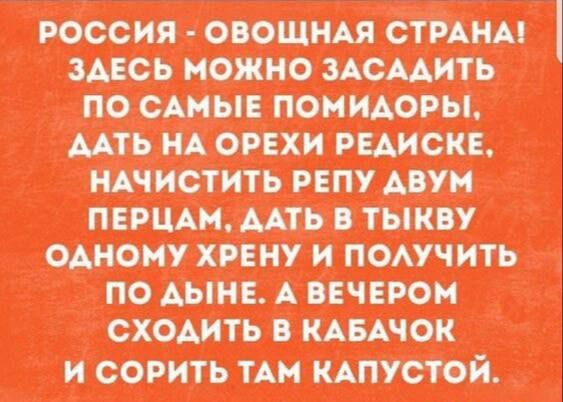 РОССИЯ - ОВОЩНАЯ СТРАНА! ЗДЕСЬ МОЖНО ЗАСАДИТЬ ПО САМЫЕ ПОМИДОРЫ, ДАТЬ НА ОРЕХИ РЕДИСКЕ, НАЧИСТИТЬ РЕПУ ДВУМ ПЕРЦАМ, ДАТЬ В ТЫКВУ ОДНОМУ ХРЕНУ И ПОЛУЧИТЬ ПО ДЫНЕ. А ВЕЧЕРОМ СХОДИТЬ В КАБАЧОК И СОРИТЬ ТАМ КАПУСТОЙ.
